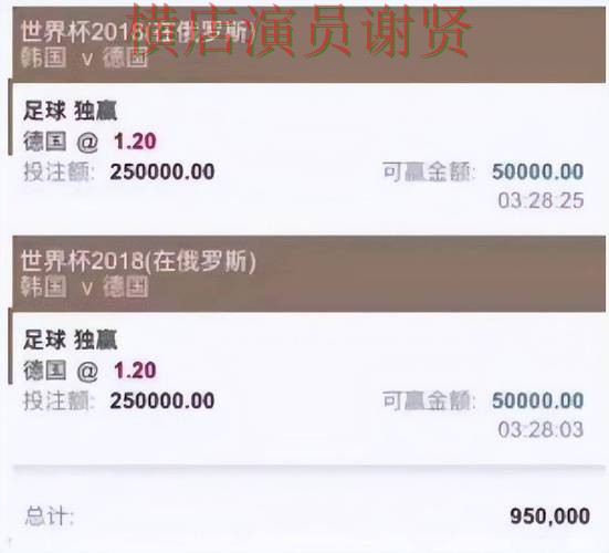 世界杯直播来临，世界杯投注入口数据分析与平台选择整理